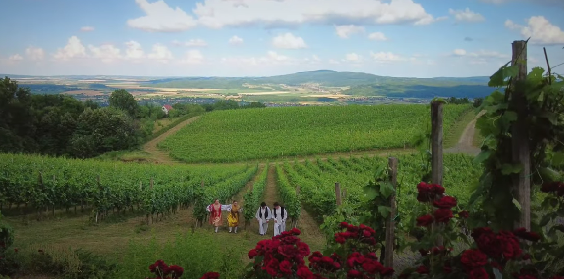 Experience Golden Slavonia