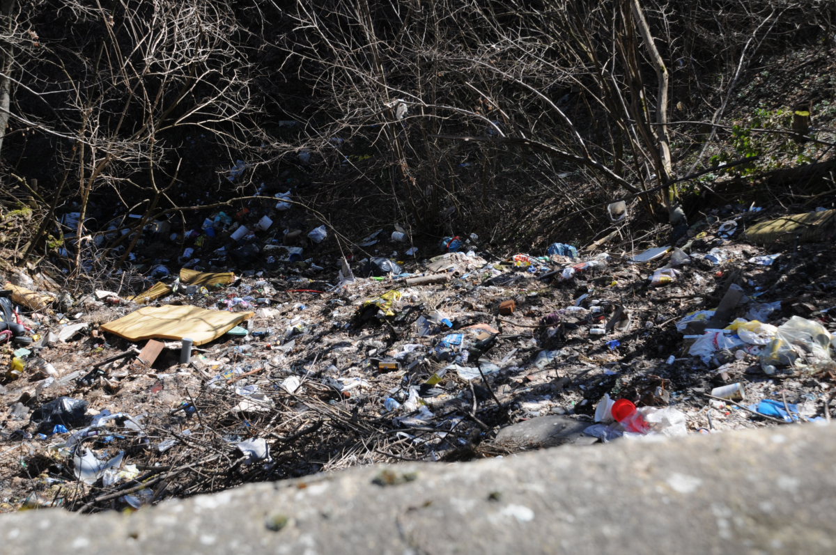 Gradu Požegi odobrena sredstva Fonda za zaštitu okoliša
