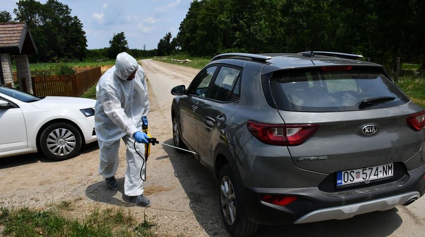 Broj slučajeva svinjske kuge u padu, stočari s područja OBŽ zabrinuti zbog mogućeg širenja