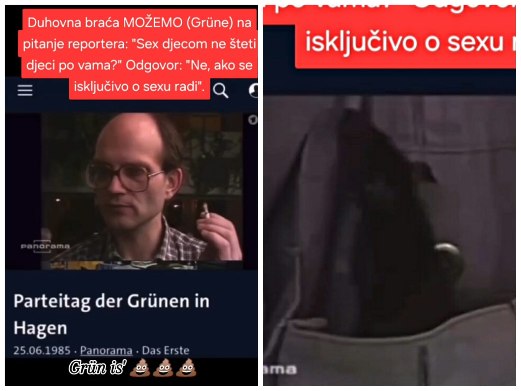 Pedofilija kao temeljni sadržaj stranke: Percepcija stranke 'Možemo' kroz ptičju perspektivu